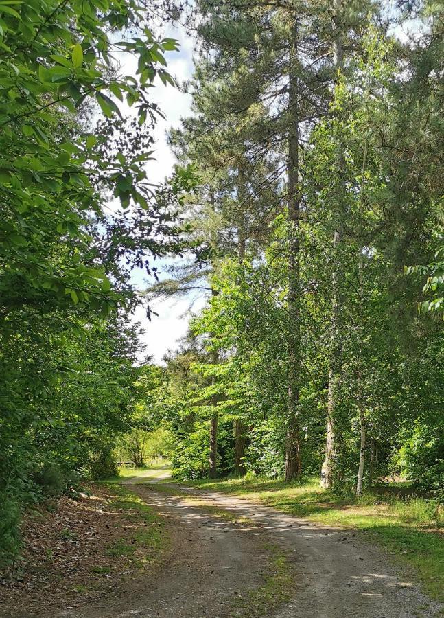 Camping De La Chagnee Saint-Aubin-le-Cloud Екстериор снимка