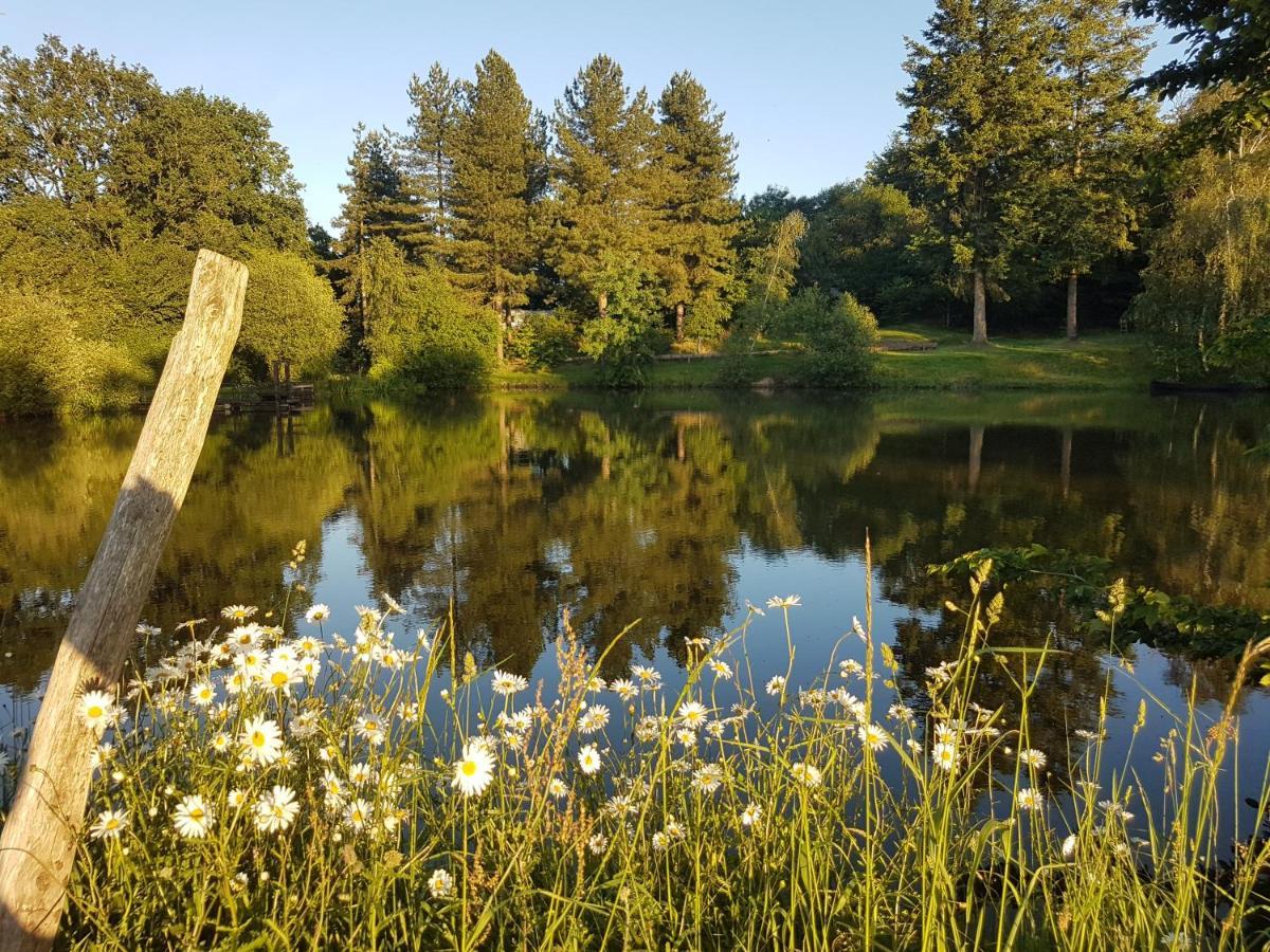Camping De La Chagnee Saint-Aubin-le-Cloud Екстериор снимка