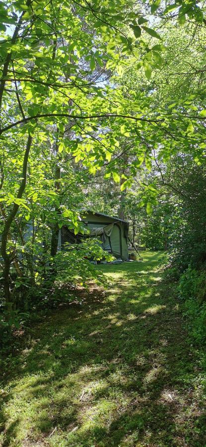 Camping De La Chagnee Saint-Aubin-le-Cloud Екстериор снимка